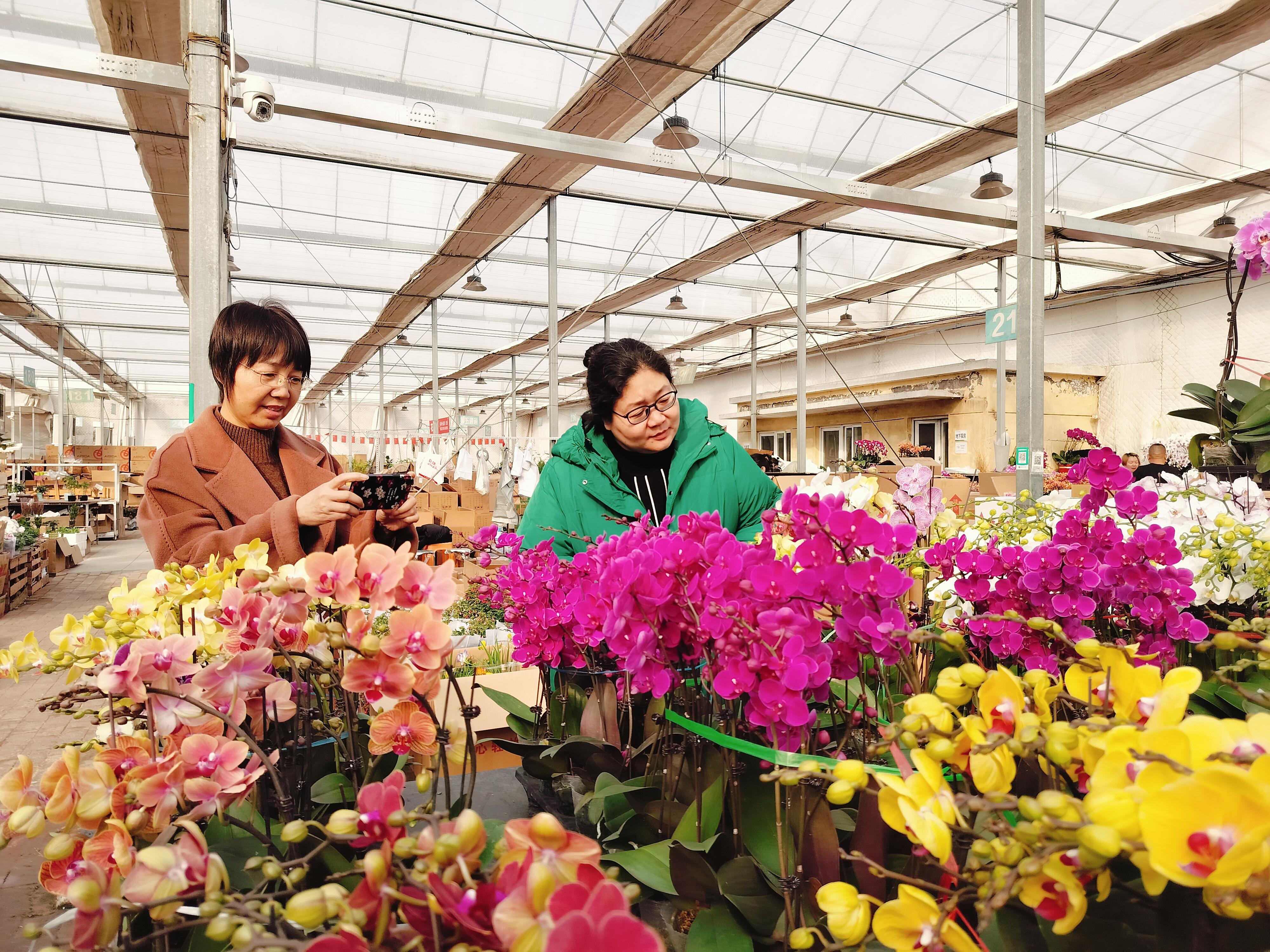 微信圖片_20250305135805.jpg 微信圖片_20250305135805.jpg